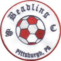 Beadling SC team badge